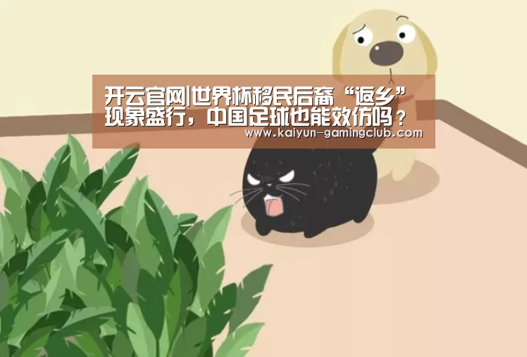 开云官网|世界杯移民后裔“返乡”现象盛行,中国足球也能效仿吗?(图2) 开云官网