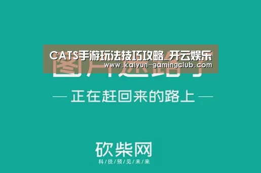 CATS手游玩法技巧攻略_开云娱乐(图2) 开云平台