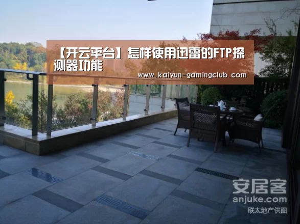 【开云平台】怎样使用迅雷的FTP探测器功能(图4) 开云平台