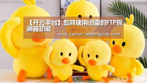 【开云平台】怎样使用迅雷的FTP探测器功能(图3) 开云官网