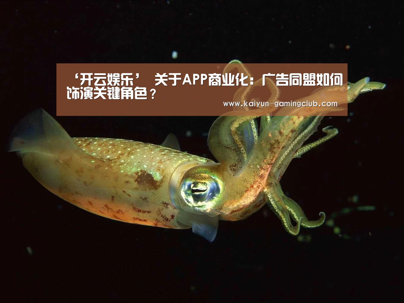 开云官网