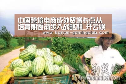 中国跨境电商成外贸增长点从培育期逐渐步入战略期_开云娱乐(图1) 开云真人