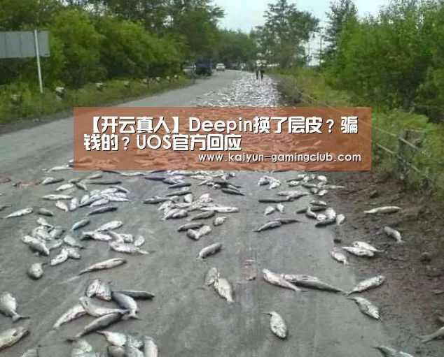 【开云真人】Deepin换了层皮?骗钱的?UOS官方回应(图1) 开云官网
