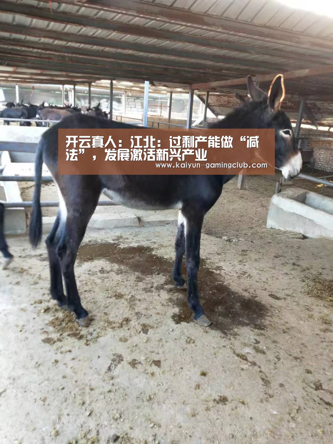 开云真人:江北:过剩产能做“减法”,发展激活新兴产业(图2) 开云平台