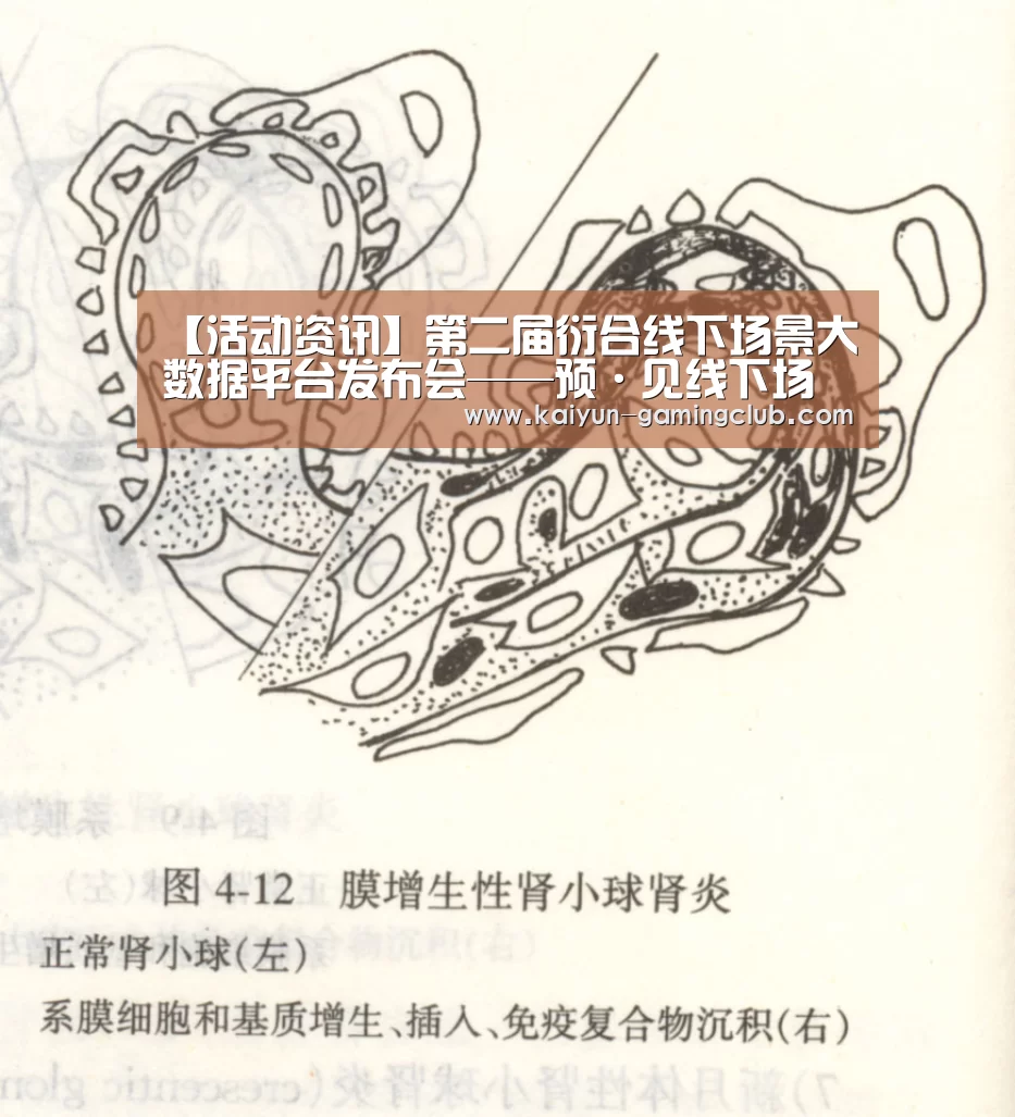 【活动资讯】第二届衍合线下场景大数据平台发布会——预·见线下场景【开云官网】(图3) 开云官网