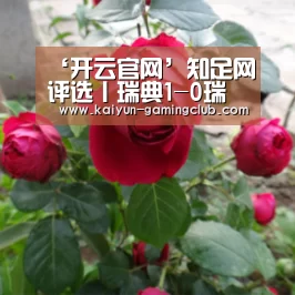 开云娱乐