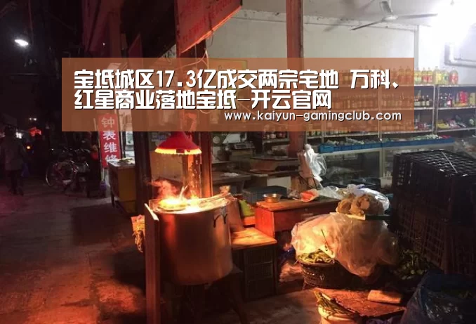 宝坻城区17.3亿成交两宗宅地 万科、红星商业落地宝坻-开云官网(图1) 开云平台
